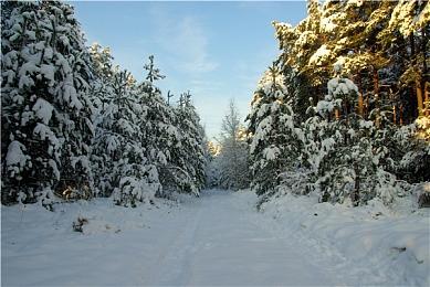 《茶杯头》开发商发布招聘广告 或为系列续作做准备
